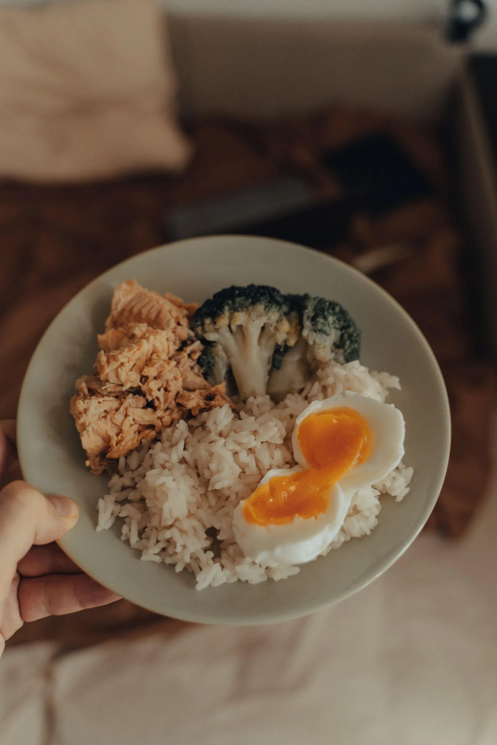 A plate of rice, broccoli, egg and fish held in one hand